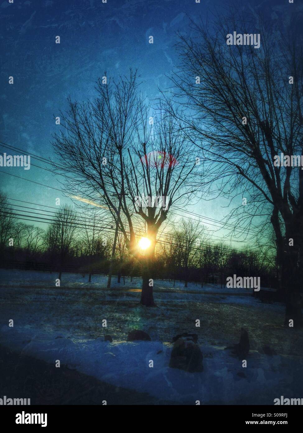 A winter sun setting behind barren trees. - Smartphone Captured Stock Image