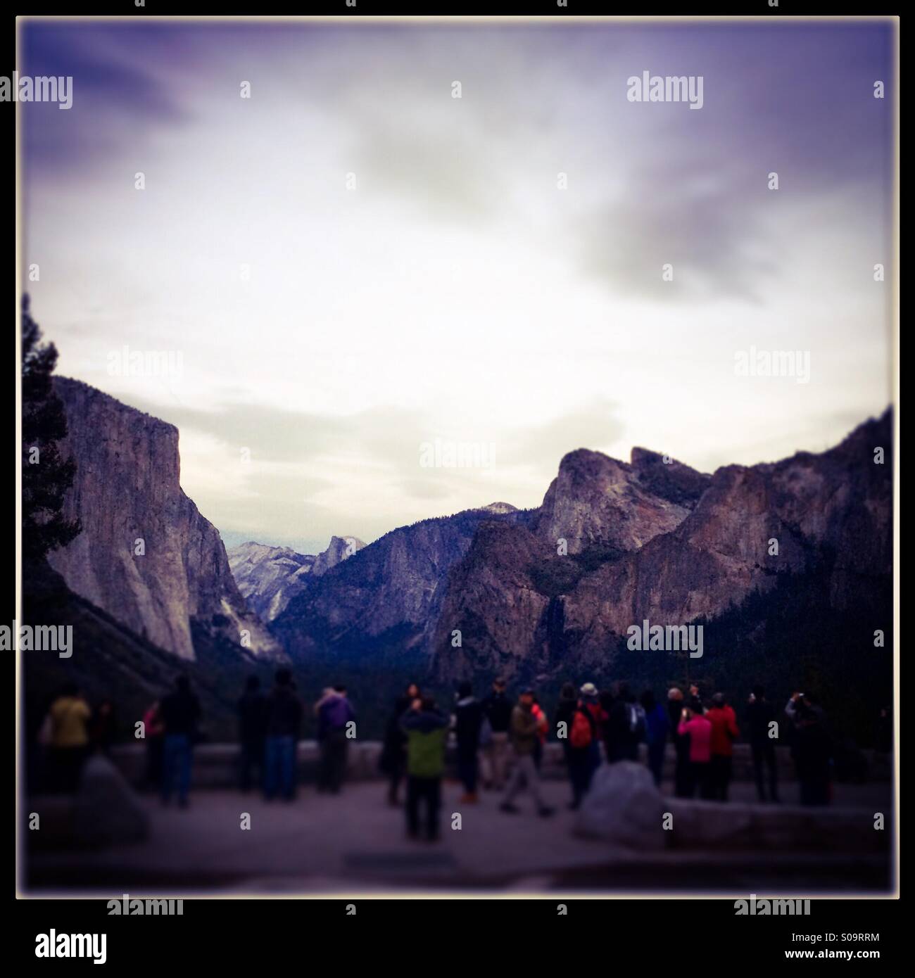 A busload of Asian tourists look at Yosemite Valley from the famous