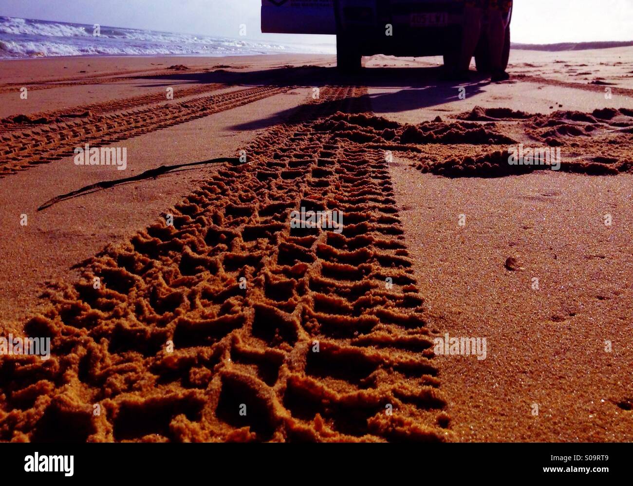 Tracks of a car on a sandy beach Stock Photo