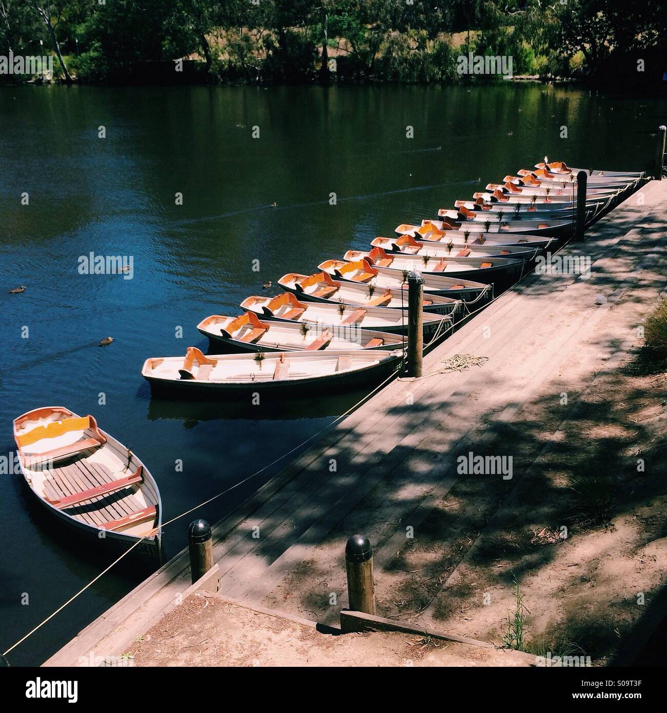 Row boats lined up at fairfield boatshed jetty, Melbourne, Australia