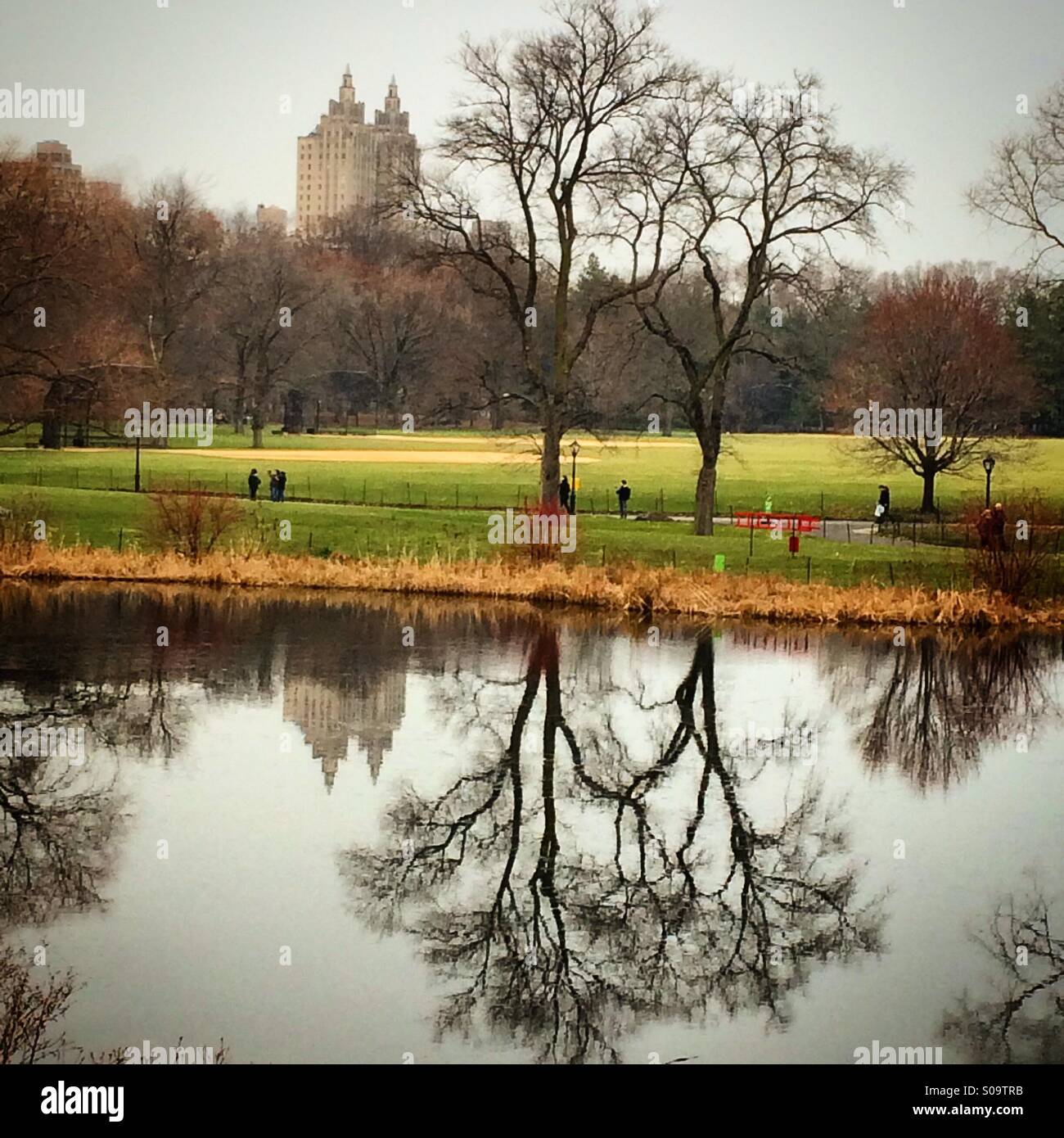 The Great Lawn in Central Park Stock Photo - Alamy