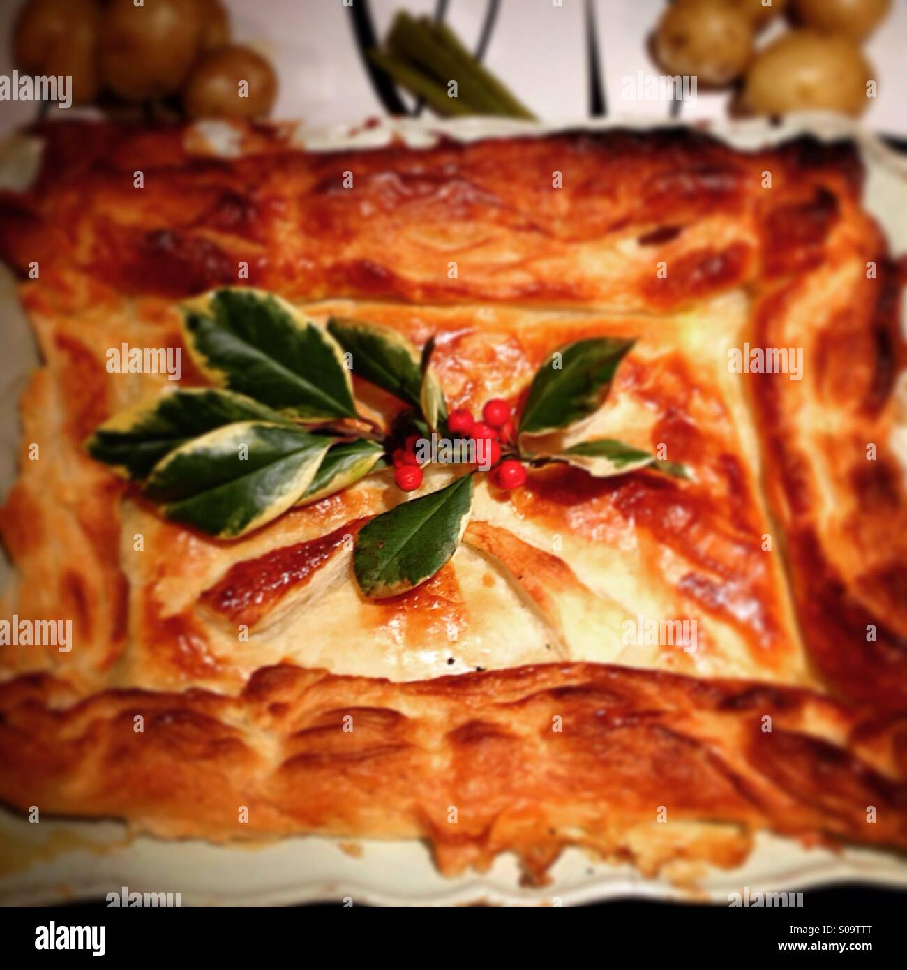 Chicken leek pie hi-res stock photography and images - Alamy