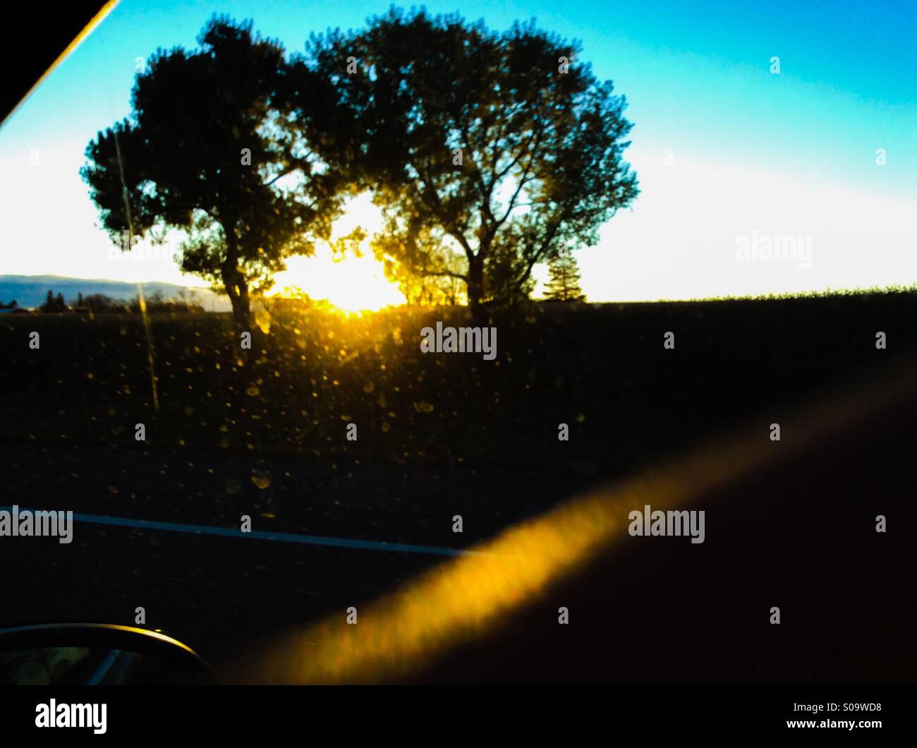 Sunset - Smartphone Captured Stock Image