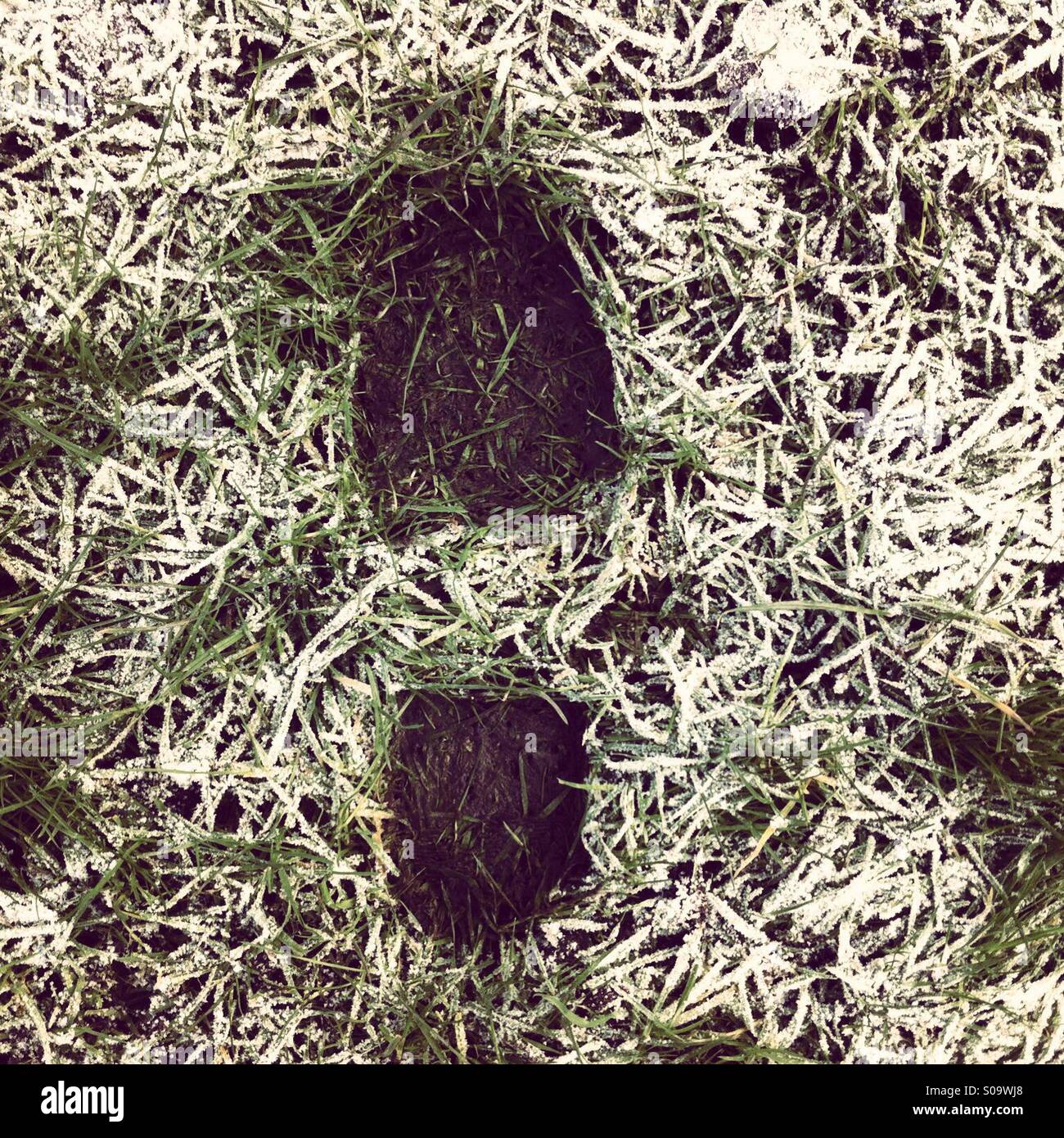 Muddy footprint on icy grass - Smartphone Captured Stock Image