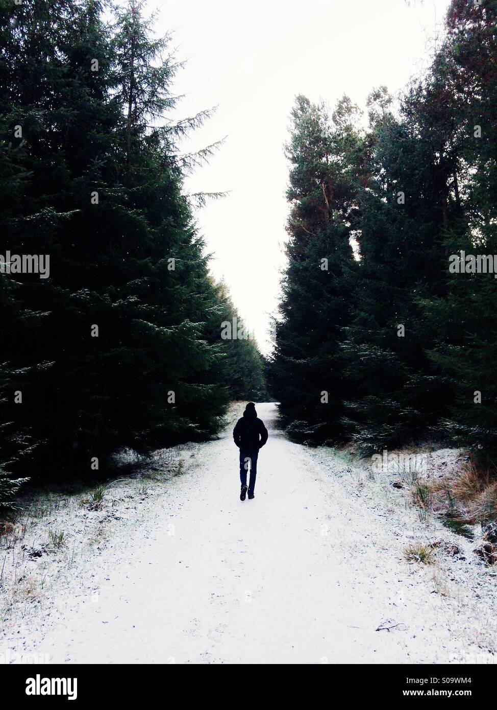 A man walks through a forest on a solitary hike with snow on the ground in winter. - Smartphone Captured Stock Image