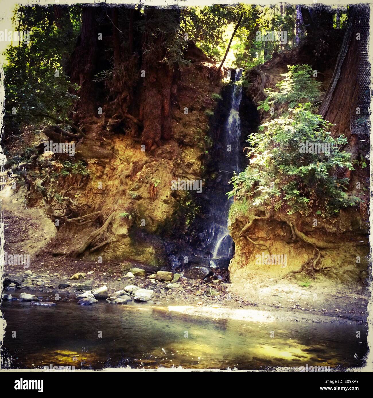 Waterfall on Bean Creek. Santa Cruz County, California, USA - Smartphone Captured Stock Image