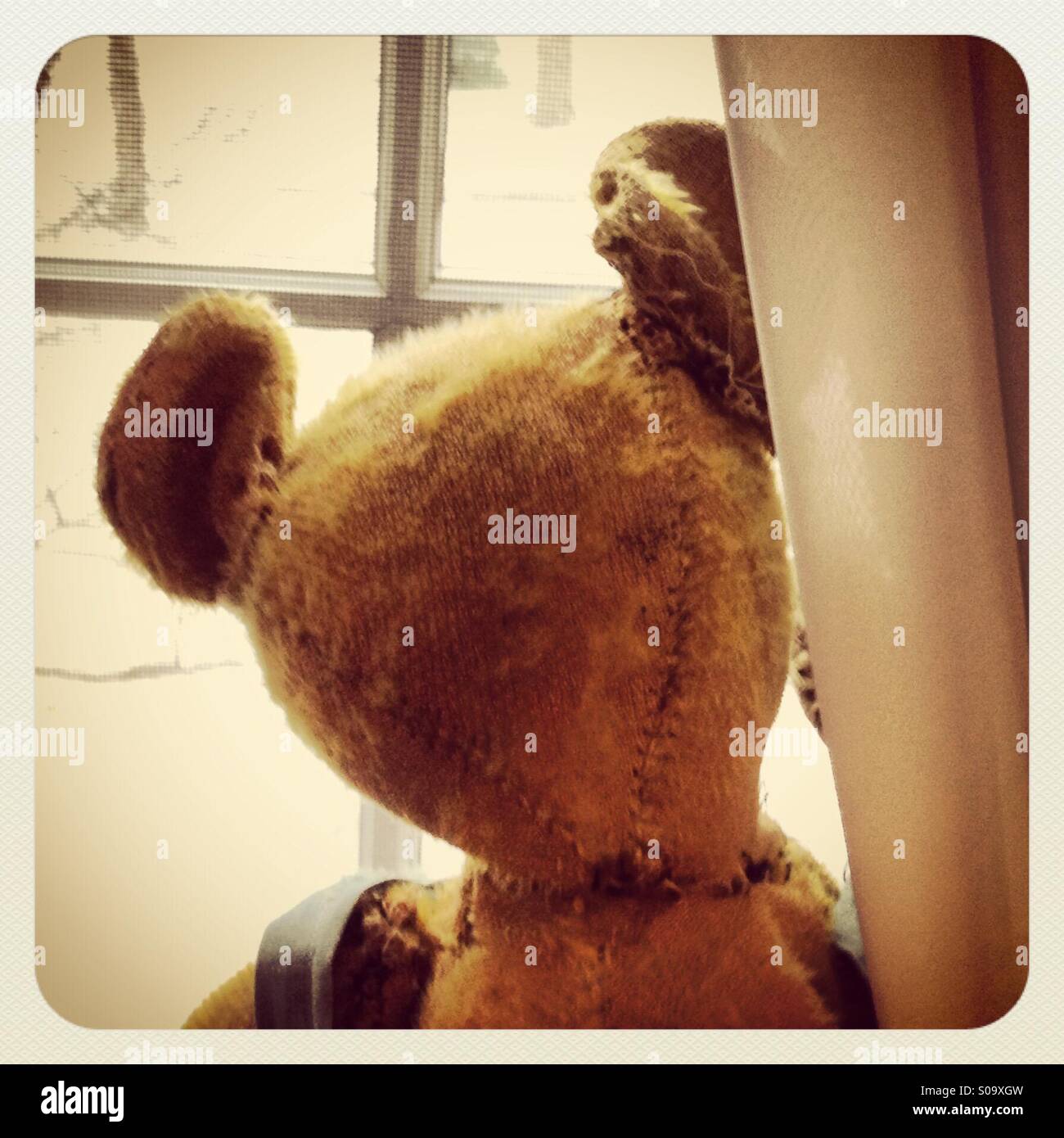 Vintage Teddybear looking out the window. Stock Photo