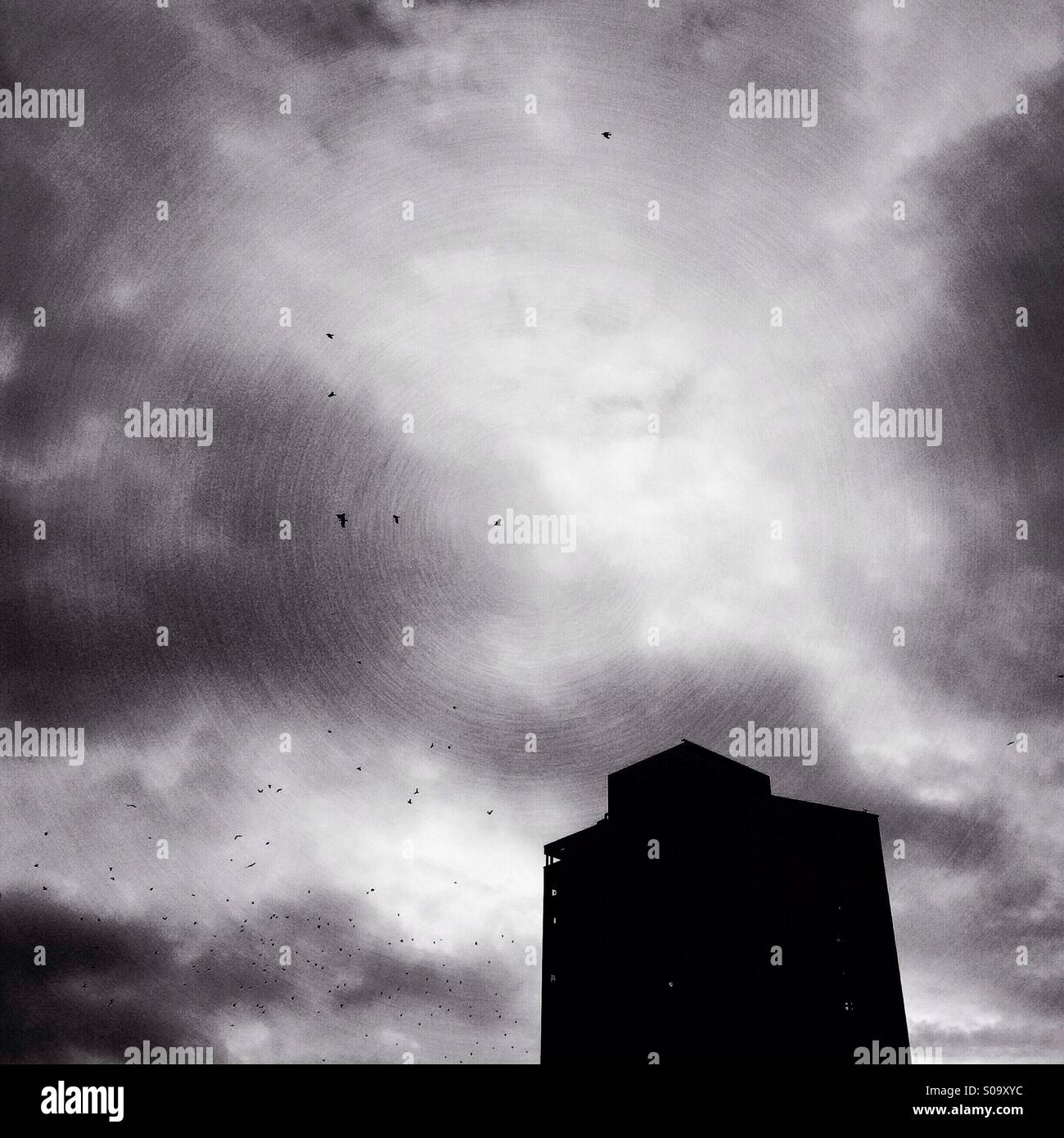 Flock of birds around dark building. Stock Photo