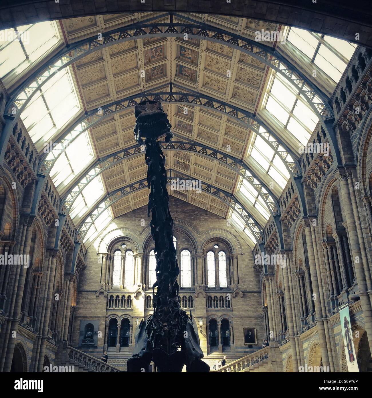 Dinosaur in main hall of natural history museum london Stock Photo