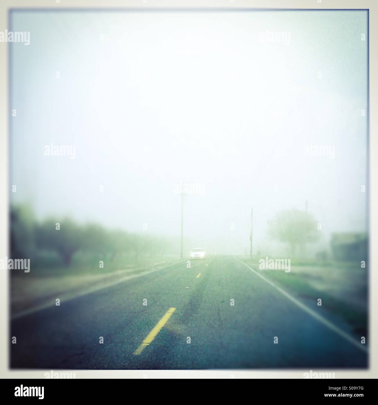 Foggy country road. San Joaquin Valley, California, USA - Smartphone Captured Stock Image