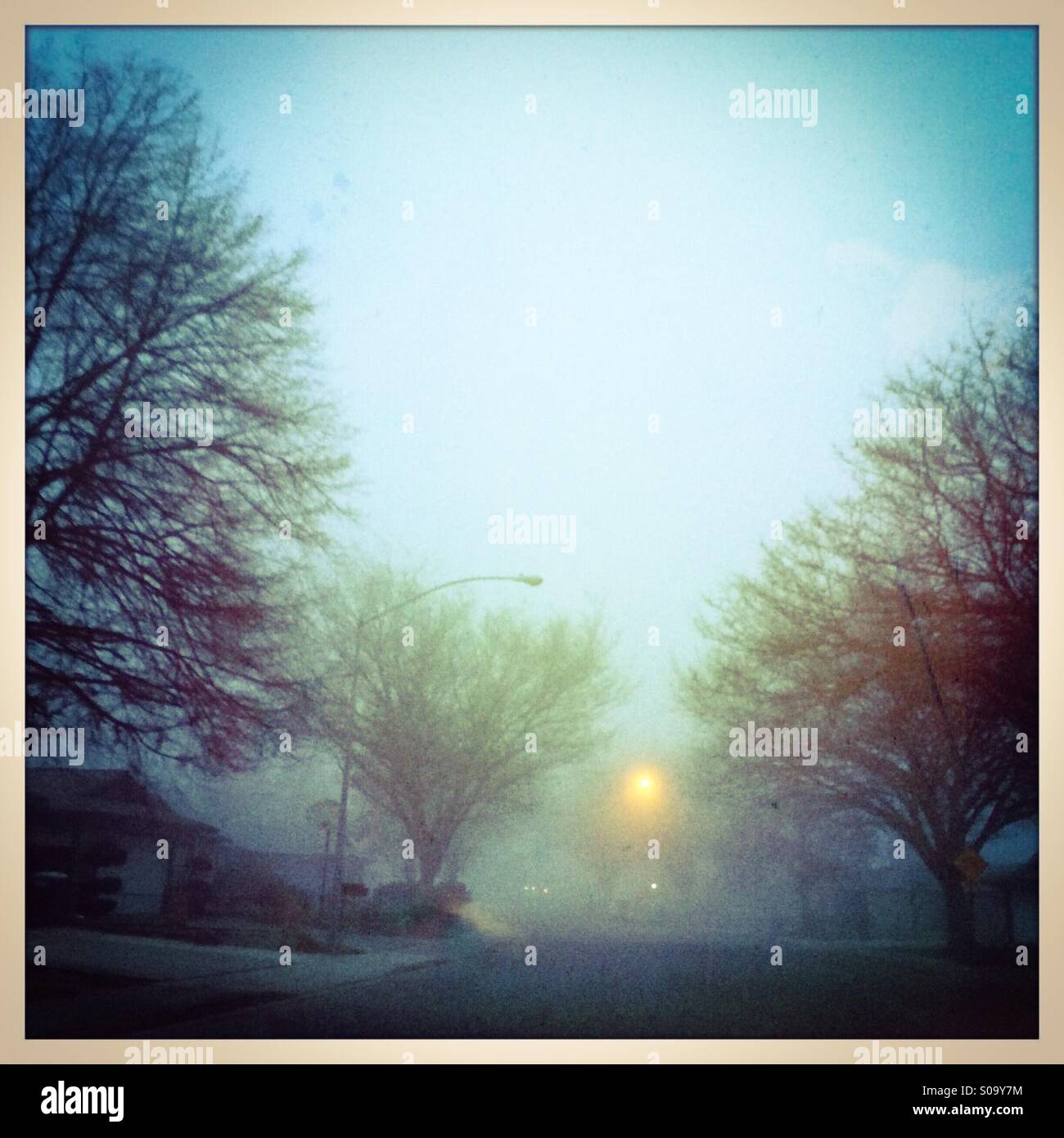 Foggy neighborhood street. San Joaquin Valley, California, USA - Smartphone Captured Stock Image