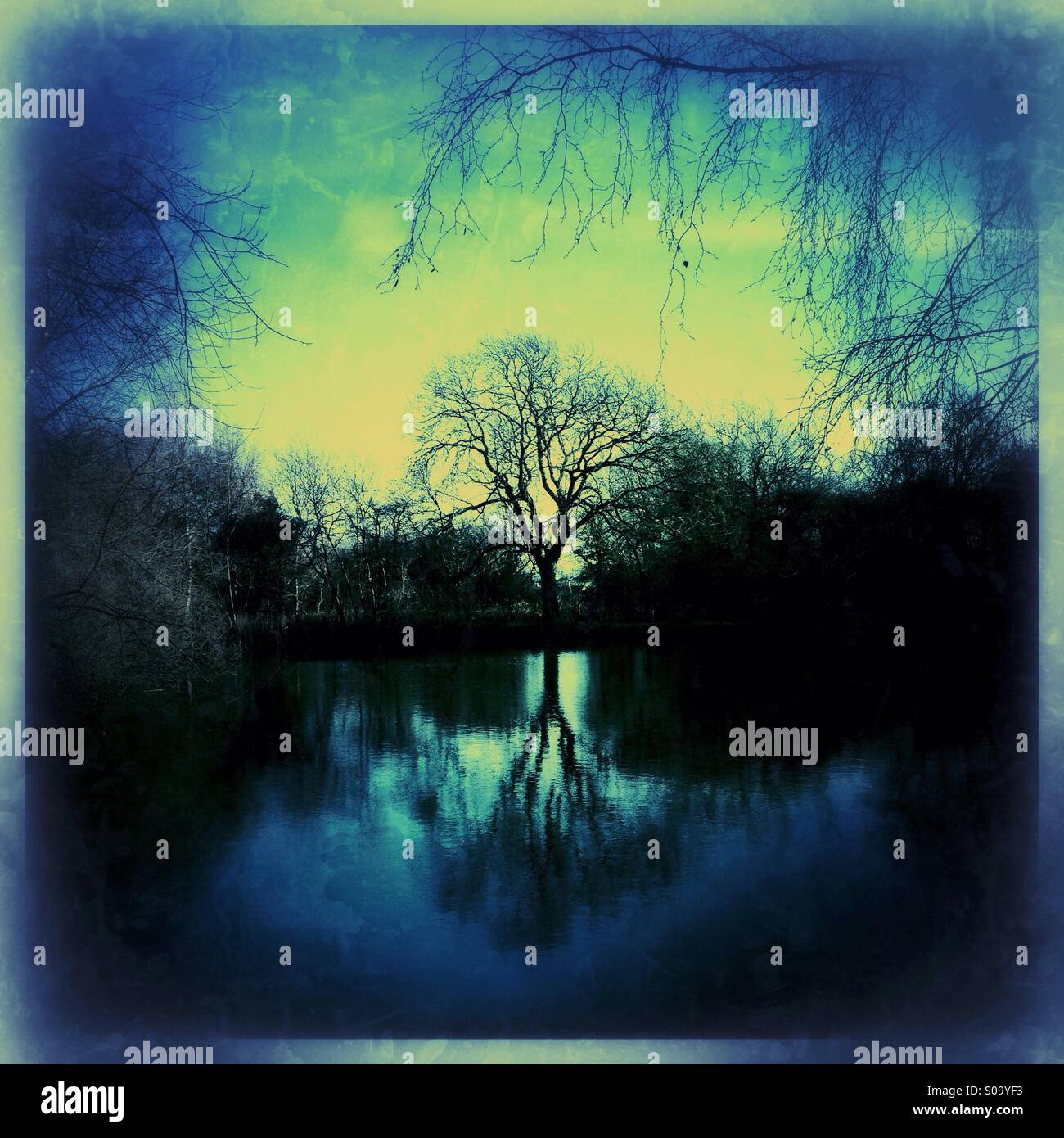 Reflection of tree in lake. Ancaster, Lincolnshire, England. - Smartphone Captured Stock Image