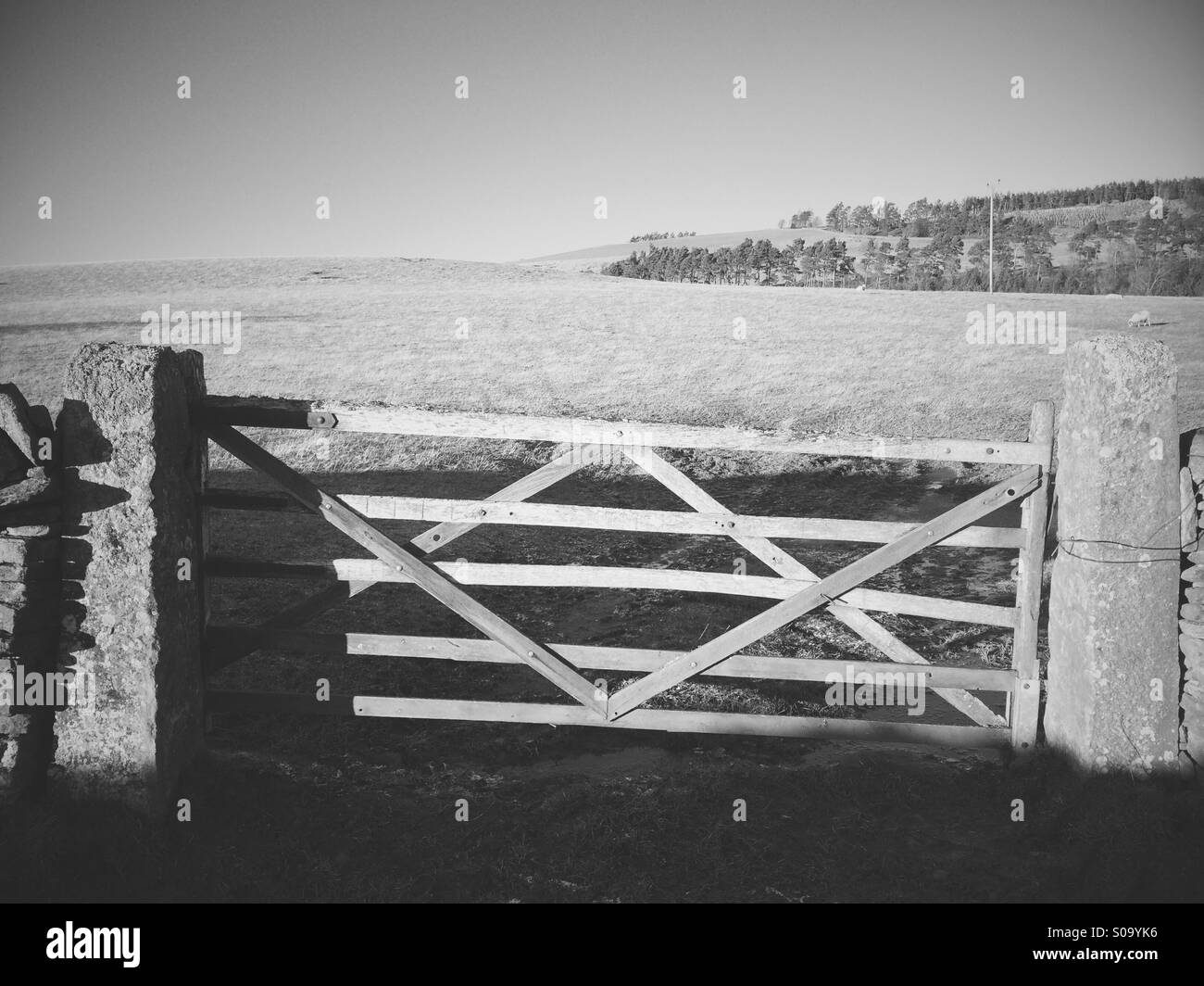 A 5 bar gate into fields and farmland in Northumberland, UK. - Smartphone Captured Stock Image