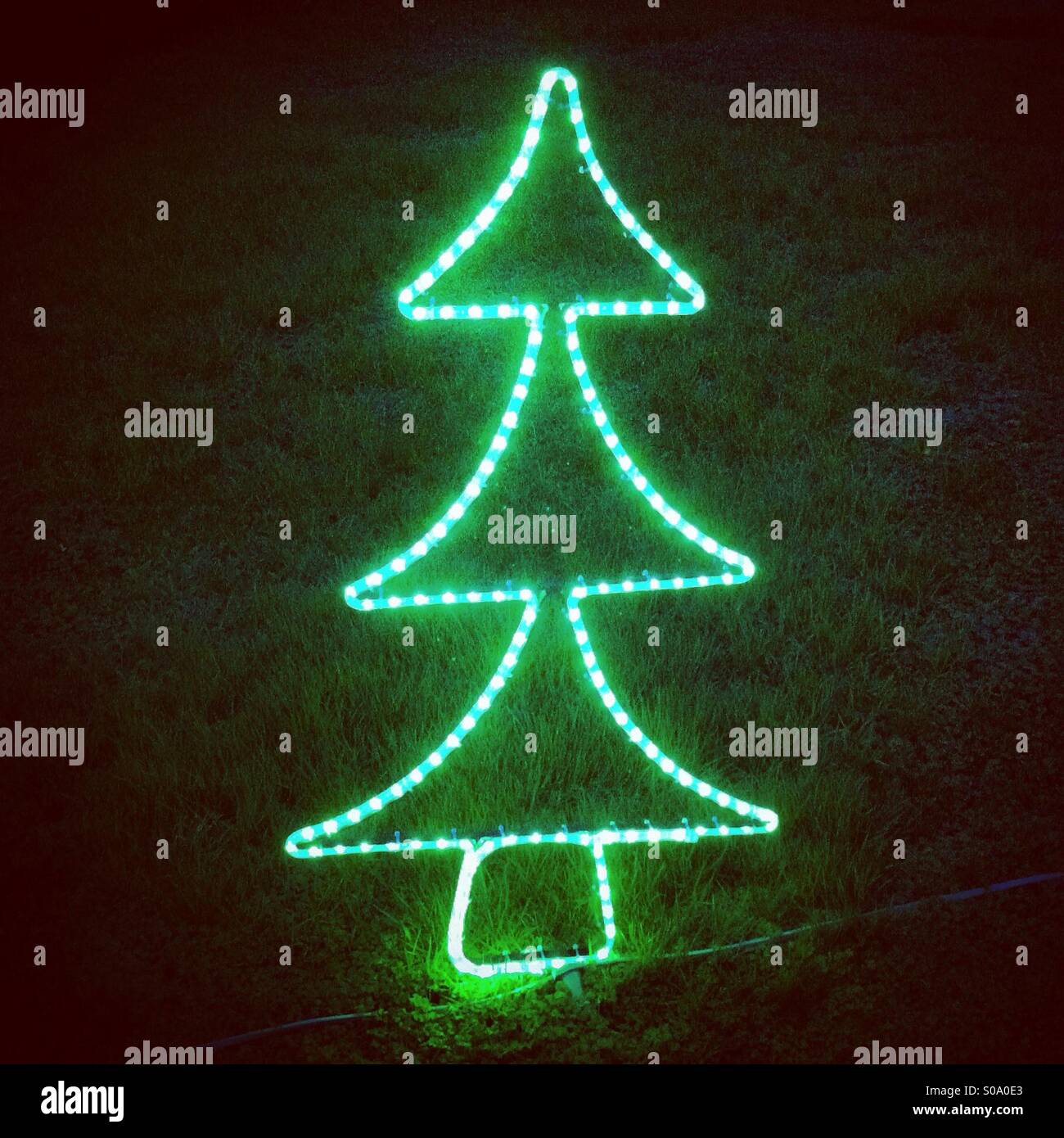 Pinetree christmas tree neon decoration - Smartphone Captured Stock Image