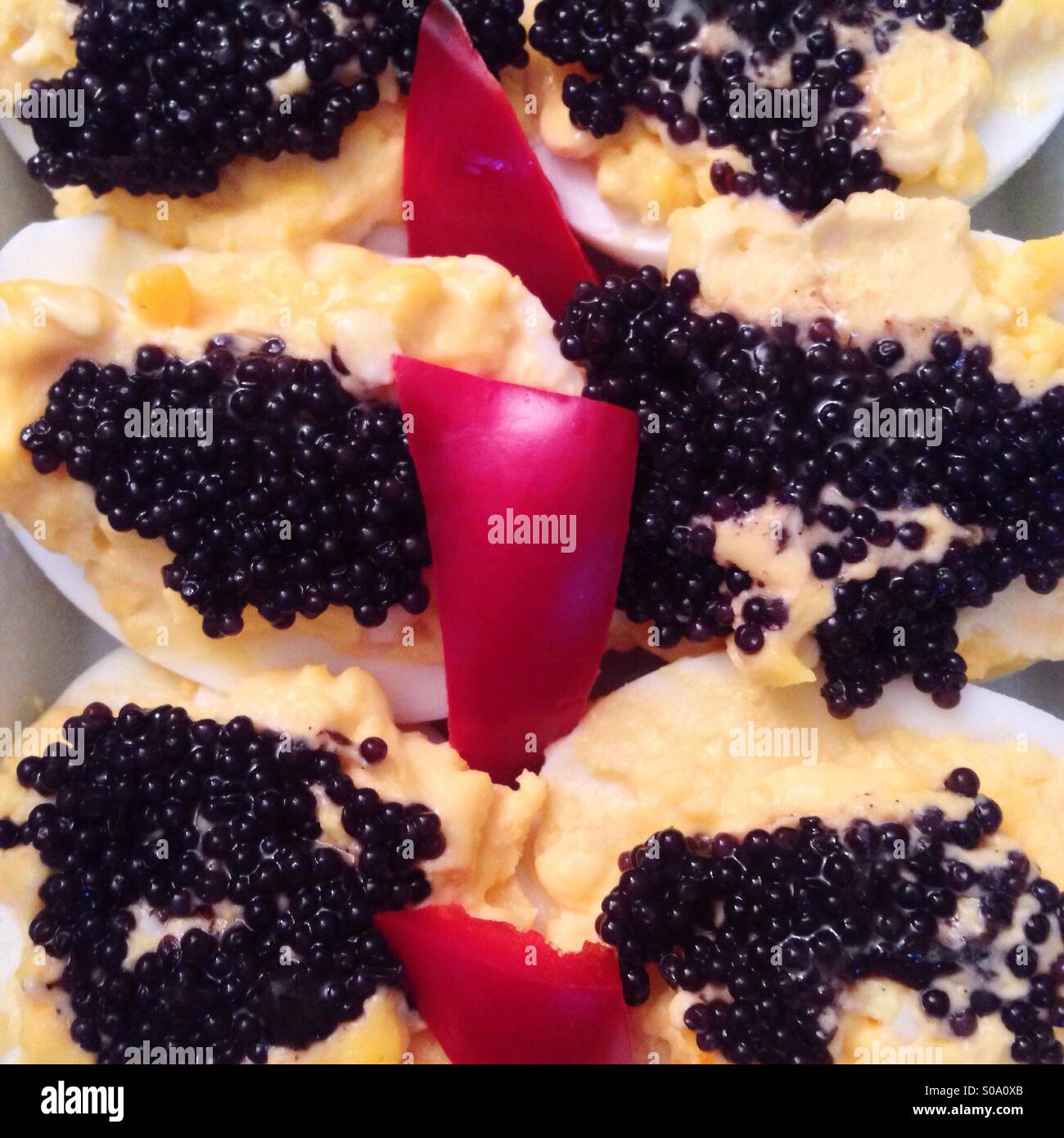 Boiled eggs with caviar and capsicum. - Smartphone Captured Stock Image
