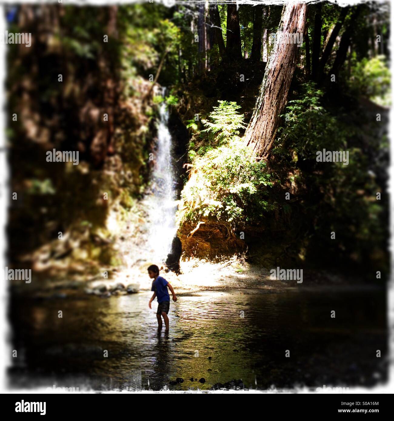 A six year old boy walks in Bean Creek near a waterfall. Santa Cruz County, California, USA - Smartphone Captured Stock Image A six year old boy walks in Bean Creek near a waterfall. Santa Cruz County, California, USA - Smartphone Captured Stock Image