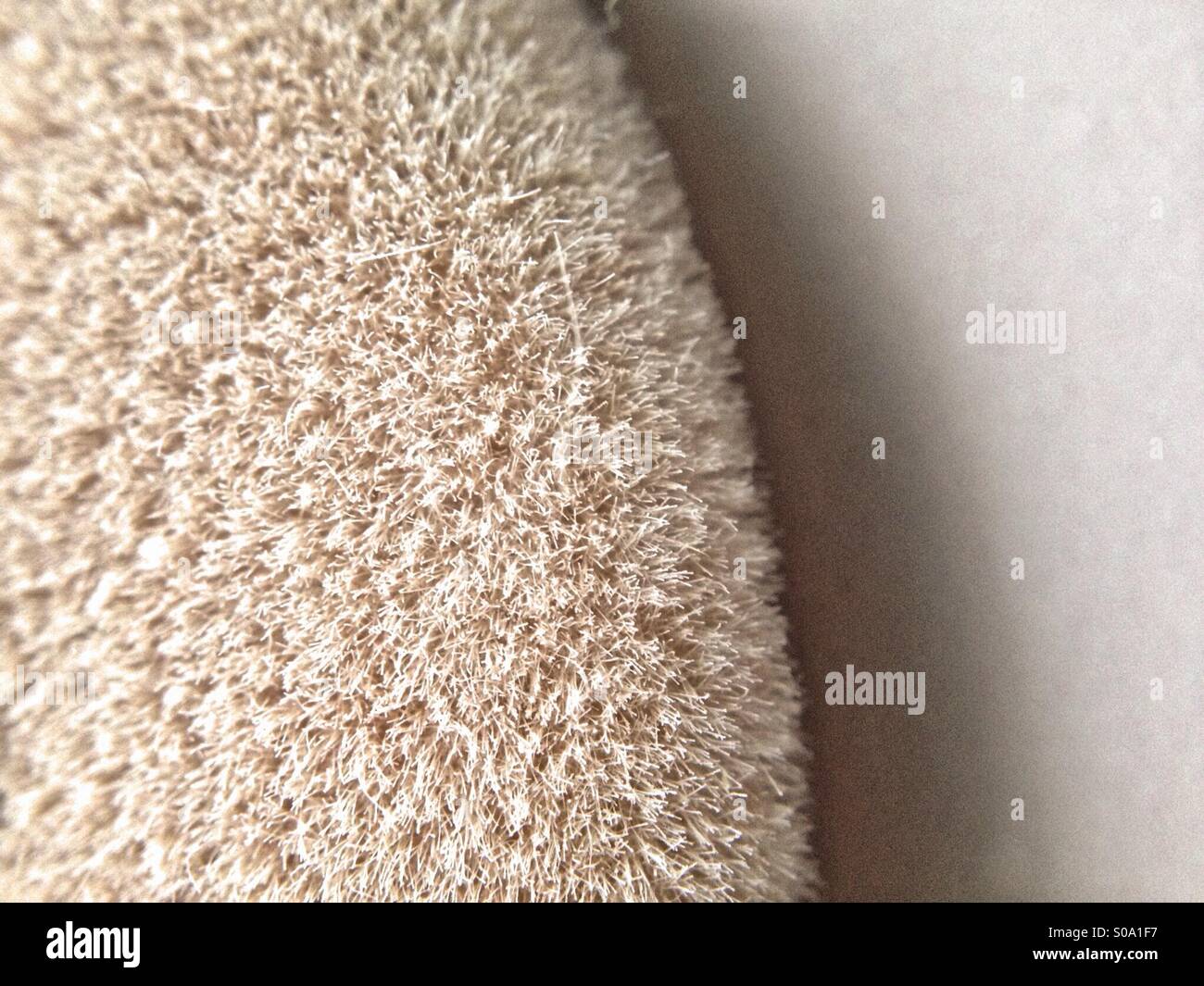 Foundation sponge - Smartphone Captured Stock Image