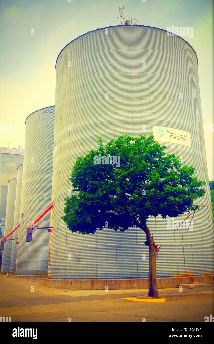 Tree by big barrels, remote USA Stock Photo
