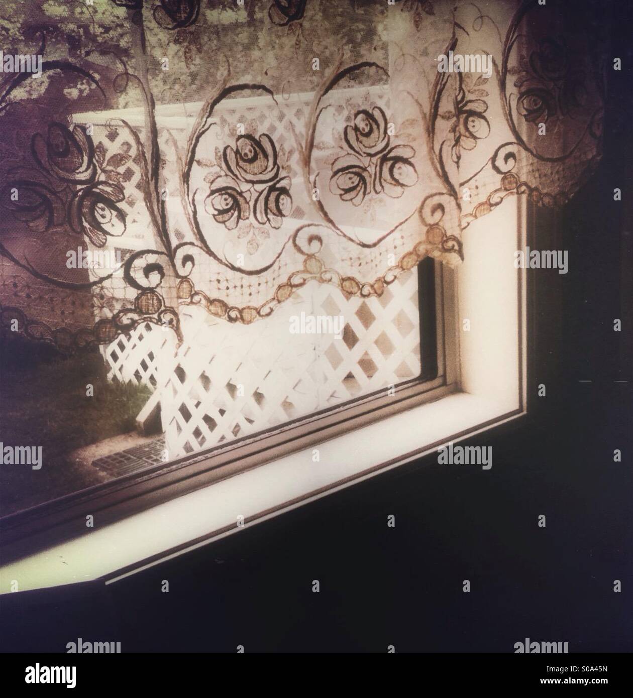 Lacy curtain over window overlooking suburban backyard - Smartphone Captured Stock Image