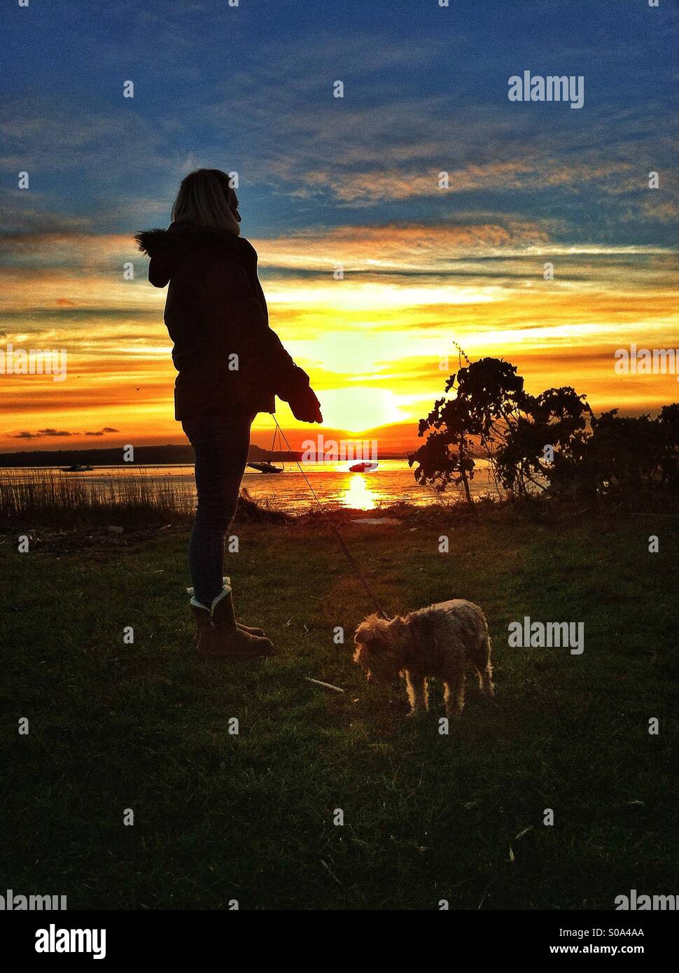 Walking the dog at sunset Stock Photo