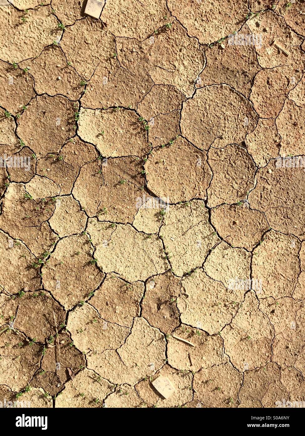 A patch of dry lake. Stock Photo