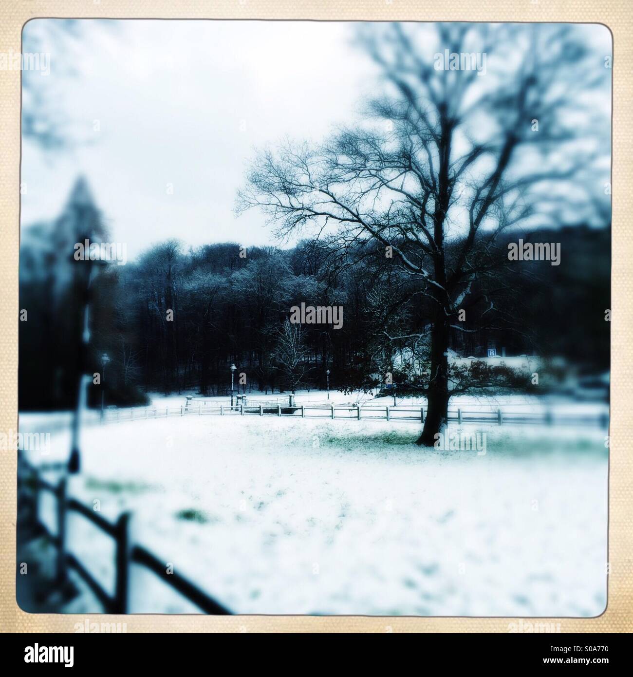 Snowy landscape in Sonsbeek park - Smartphone Captured Stock Image