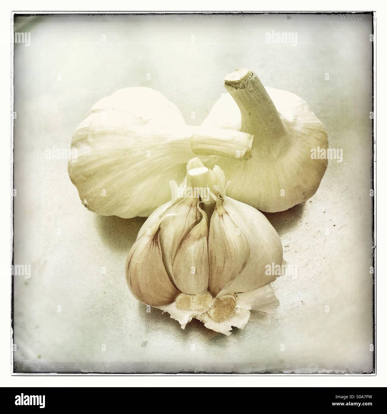 Garlic bulbs and cloves Stock Photo