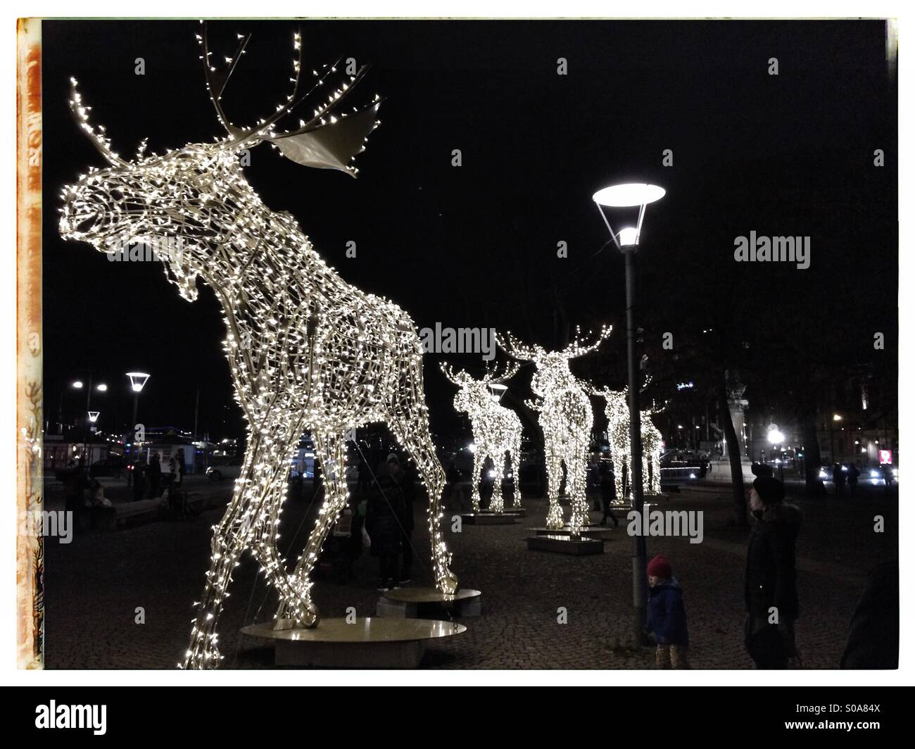 Elks christmas lights hires stock photography and images Alamy