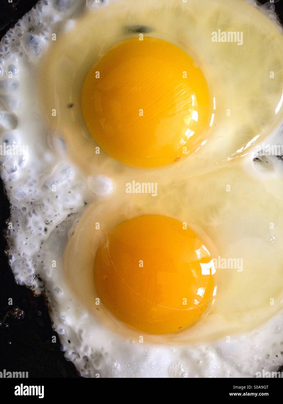 2 frying eggs Stock Photo