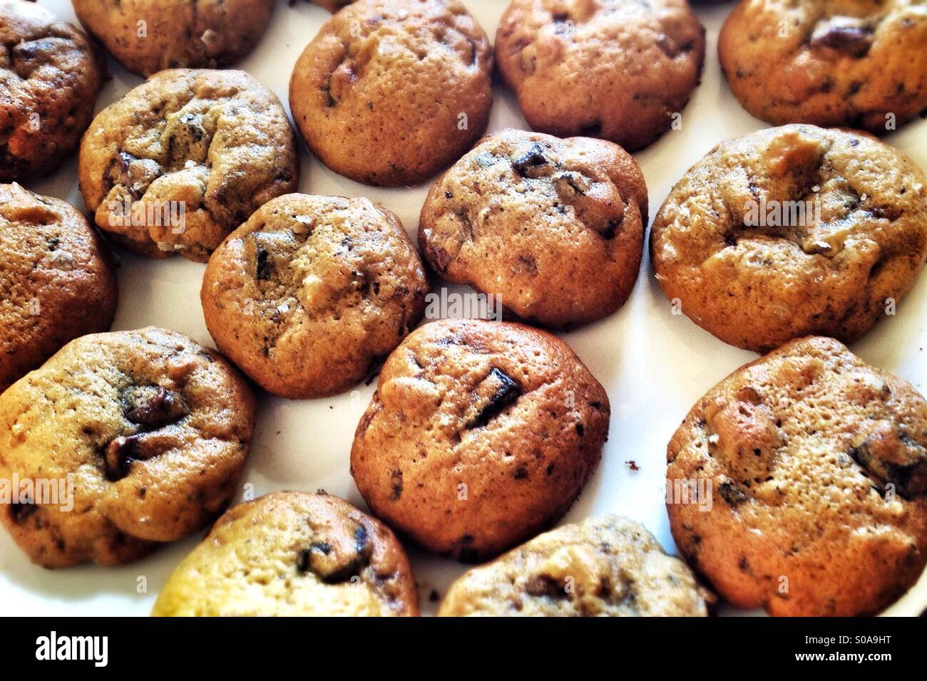 Chocolate chip cookies on white plate. - Smartphone Captured Stock Image