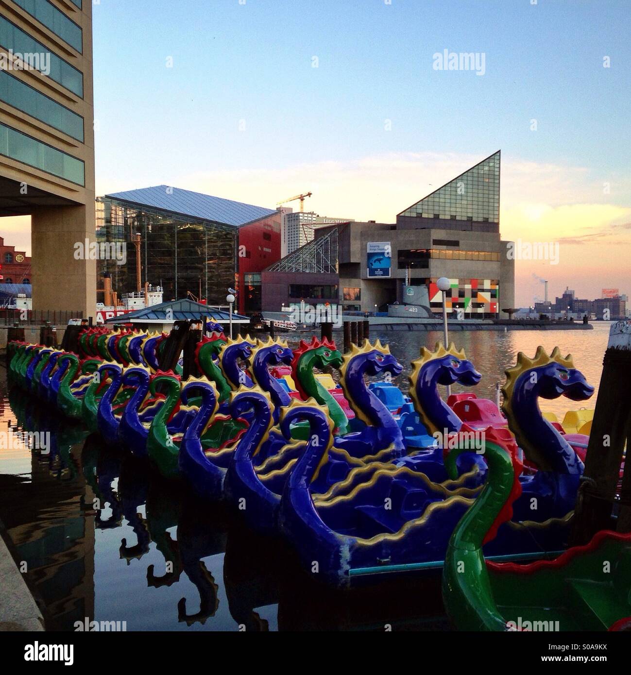 Dragon paddle boats in Baltimore's inner harbor Stock Photo Alamy