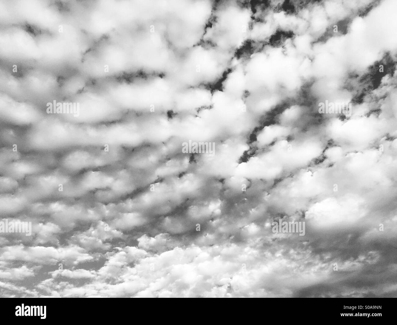 Black and white photo of white puffy clouds moving diagonally across a blue sky Stock Photo