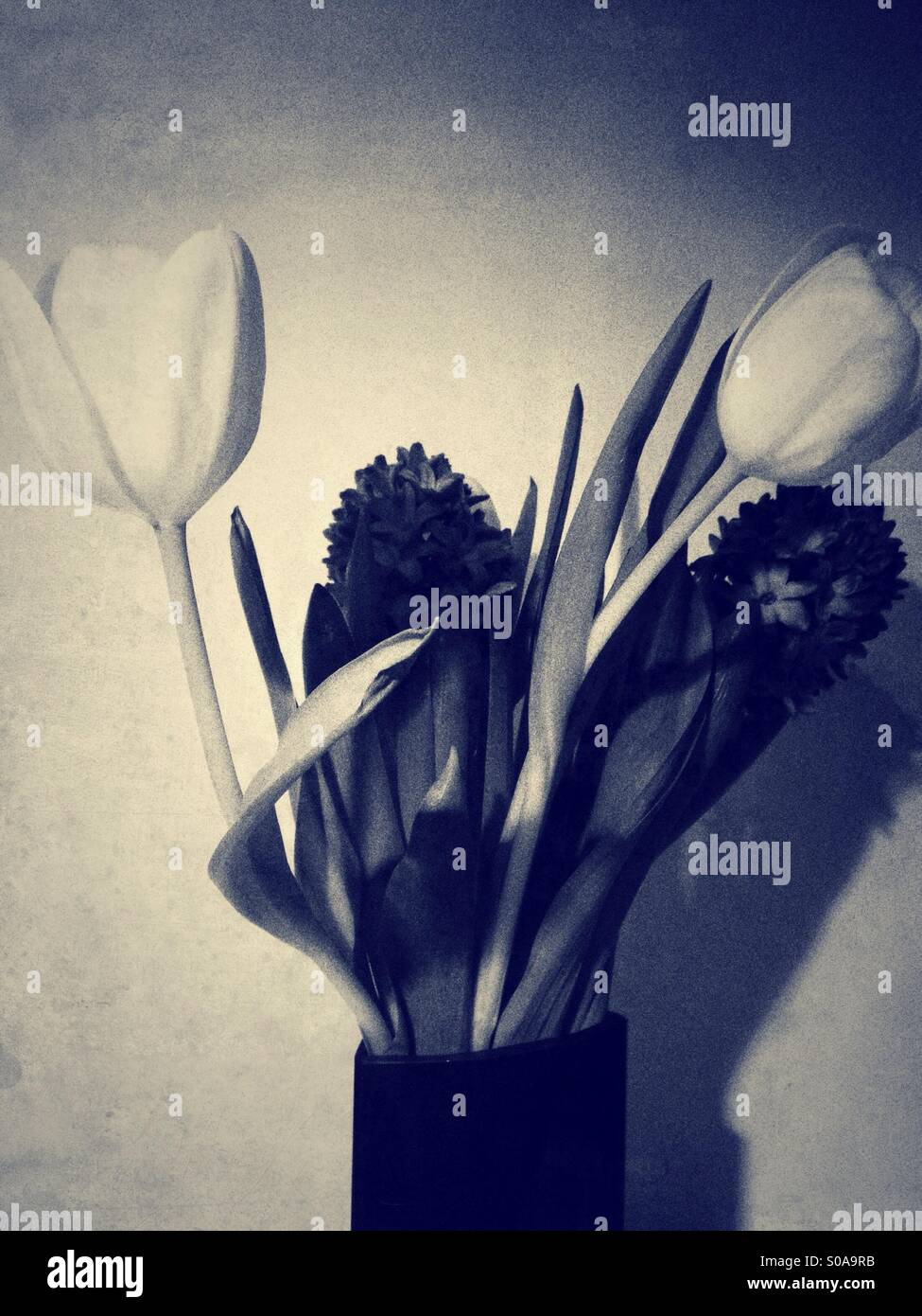 Spring flower vase - Smartphone Captured Stock Image