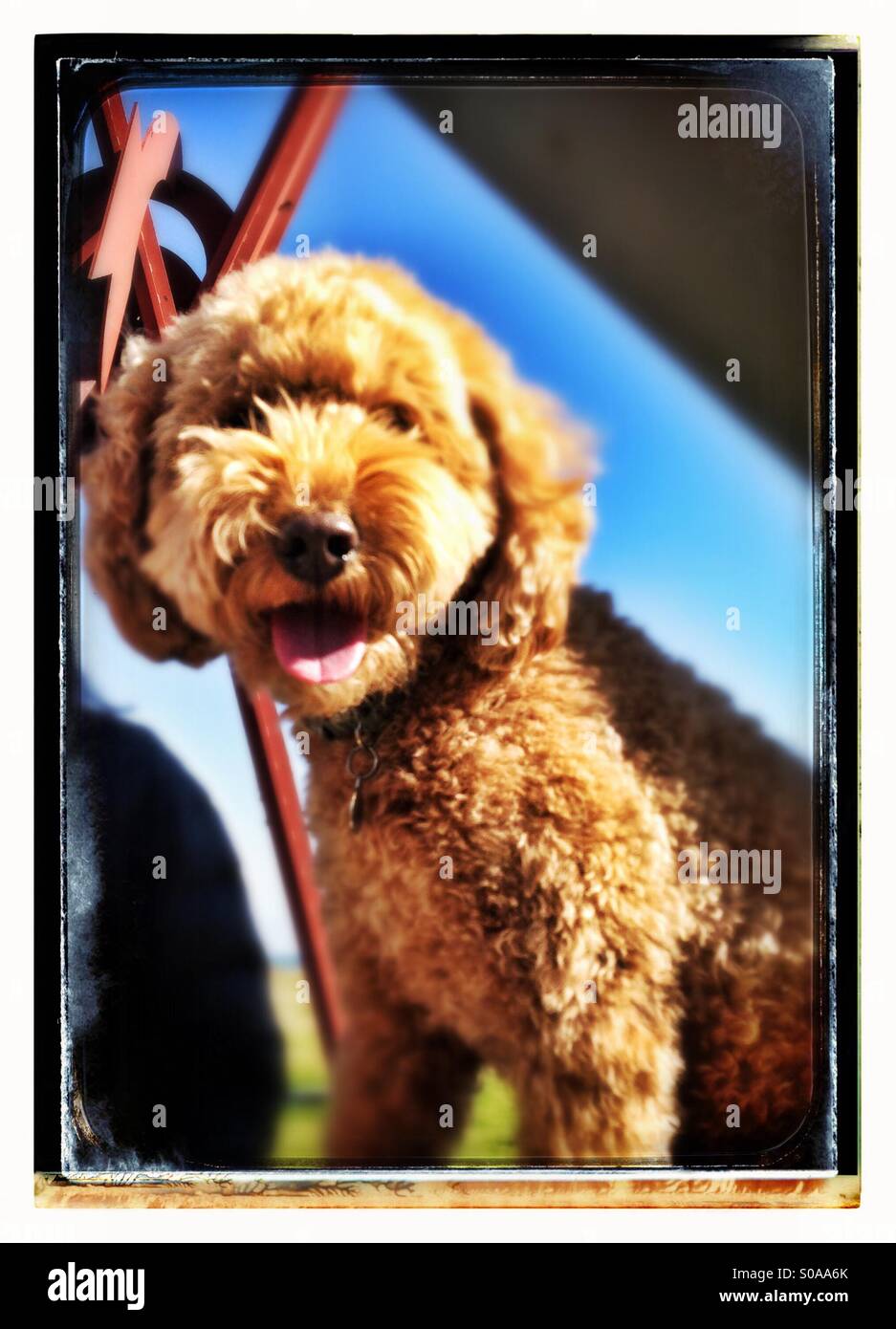 Doodle - Smartphone Captured Stock Image