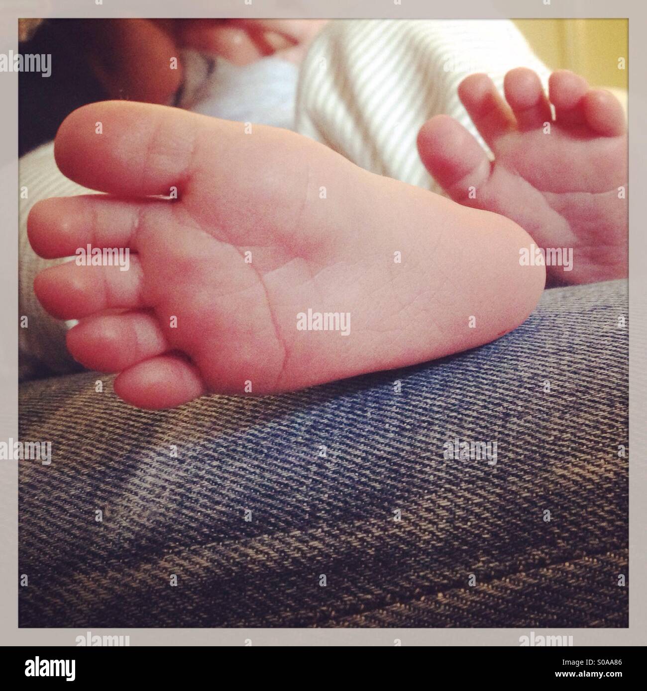 Newborn baby feet Stock Photo Alamy