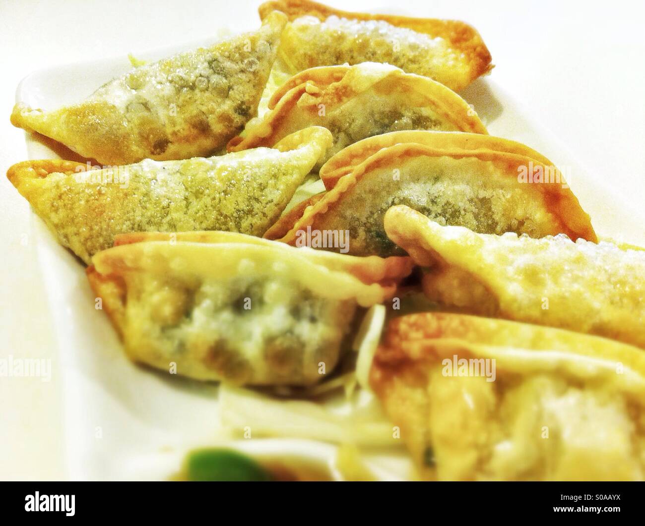 Deep fried vegetarian potstickers Stock Photo Alamy