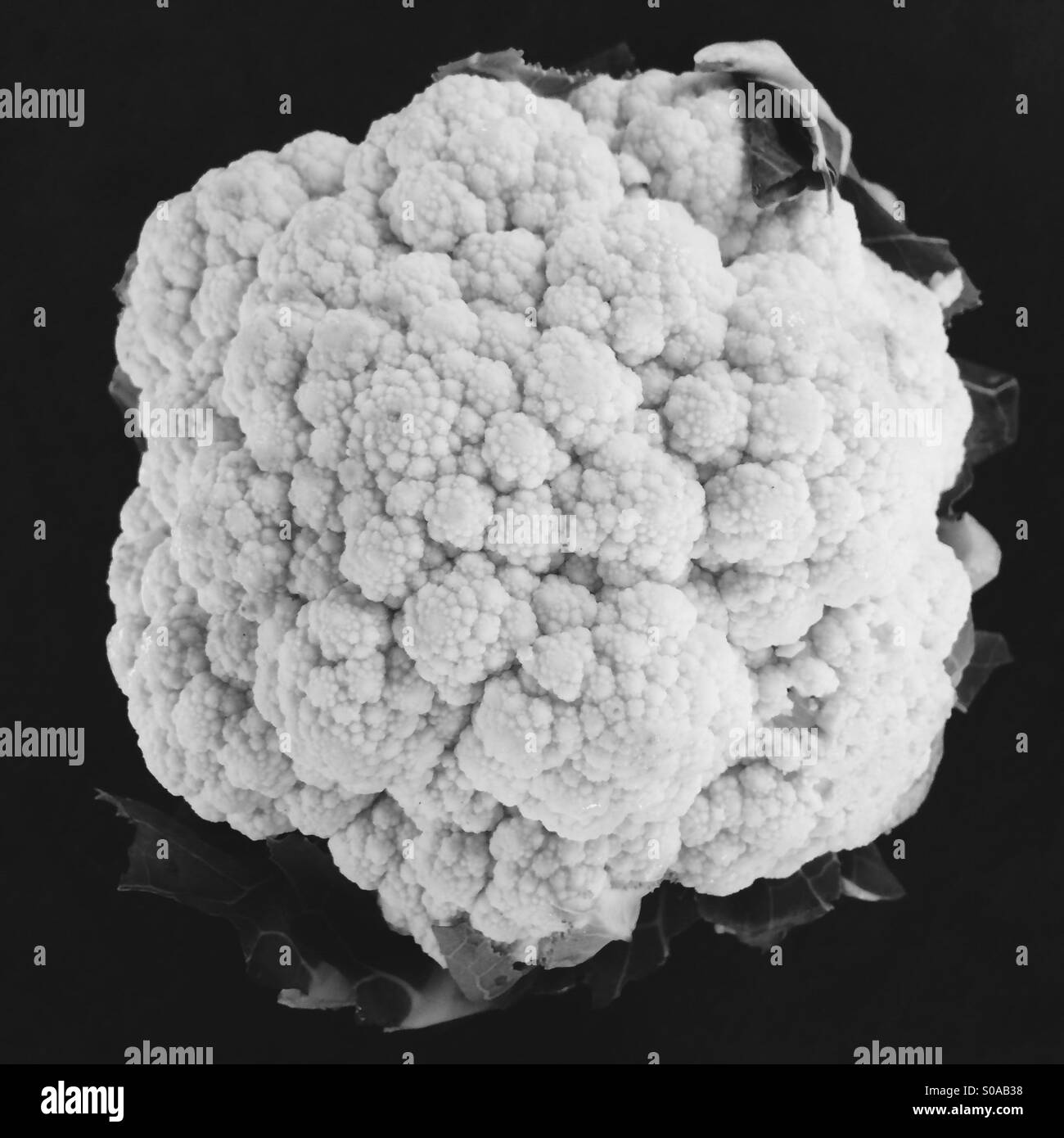 Overhead view of a cauliflower in black and white. - Smartphone Captured Stock Image