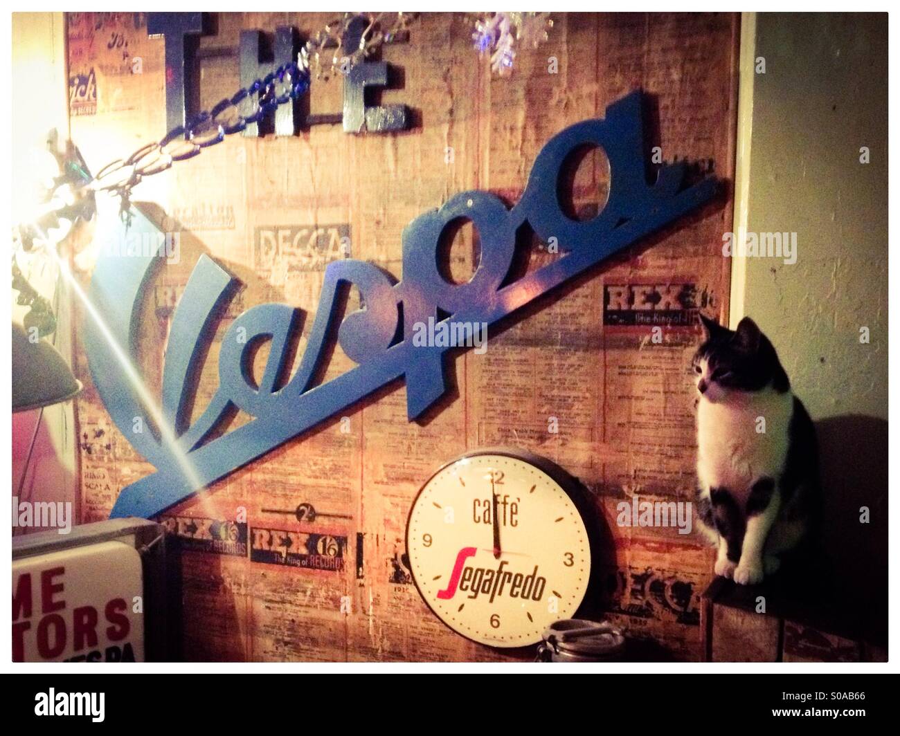 Vespa sign and cat Stock Photo