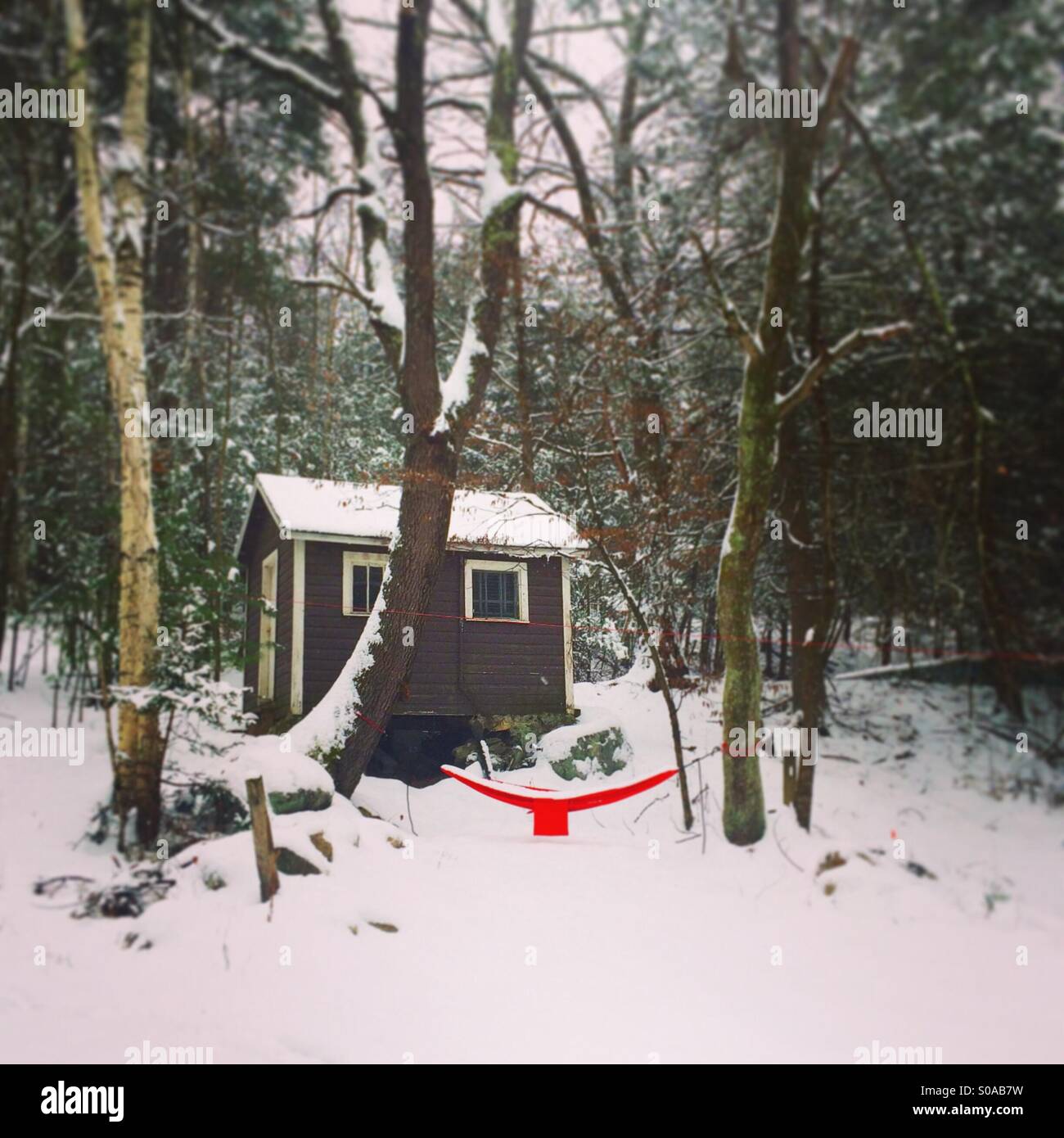 A well house and hammock in Accord, New York Stock Photo Alamy