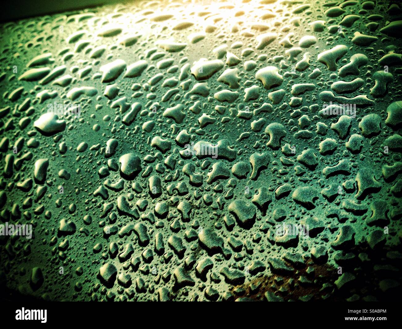 Surface Tension - Smartphone Captured Stock Image