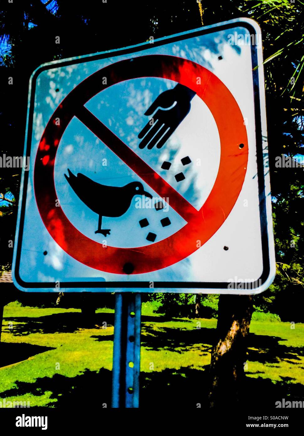 Don't. Do not feed ducks, geese, gulls, and other wildlife in a park. Prohibitory sign. Pictogram. Universal. Hand, bird, dots. No words. - Smartphone Captured Stock Image