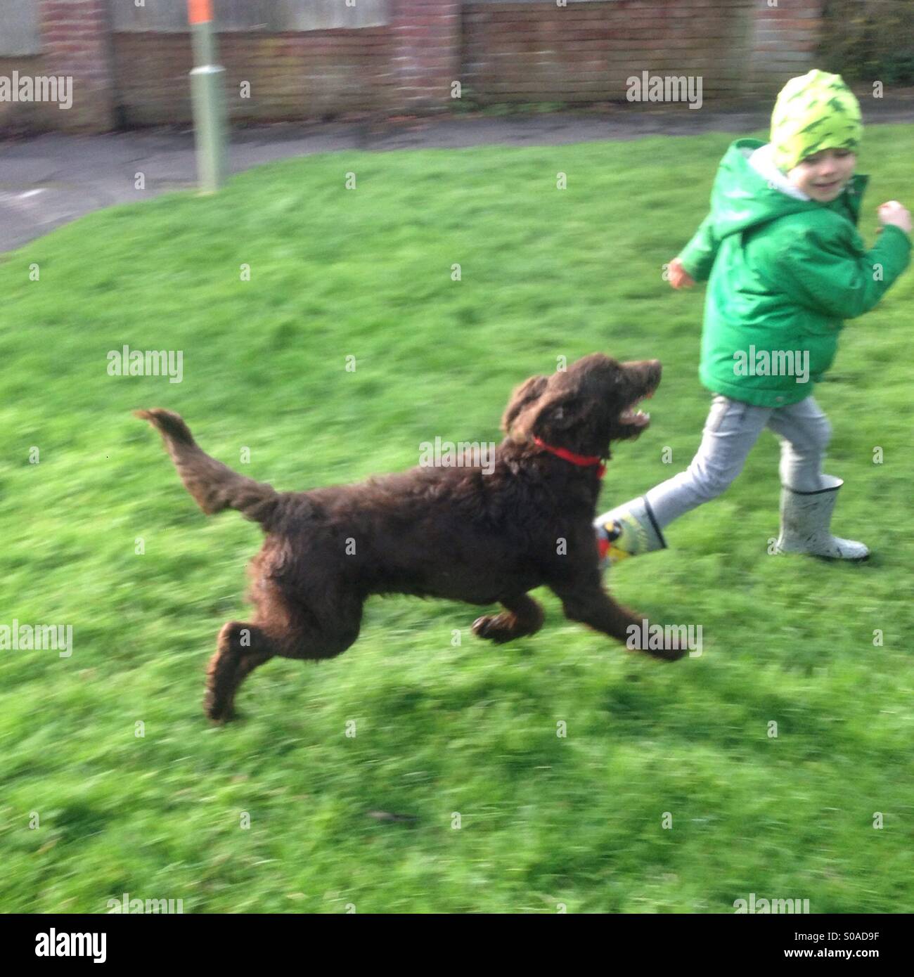 Five year old boy playing chase with his pet dog Stock Photo