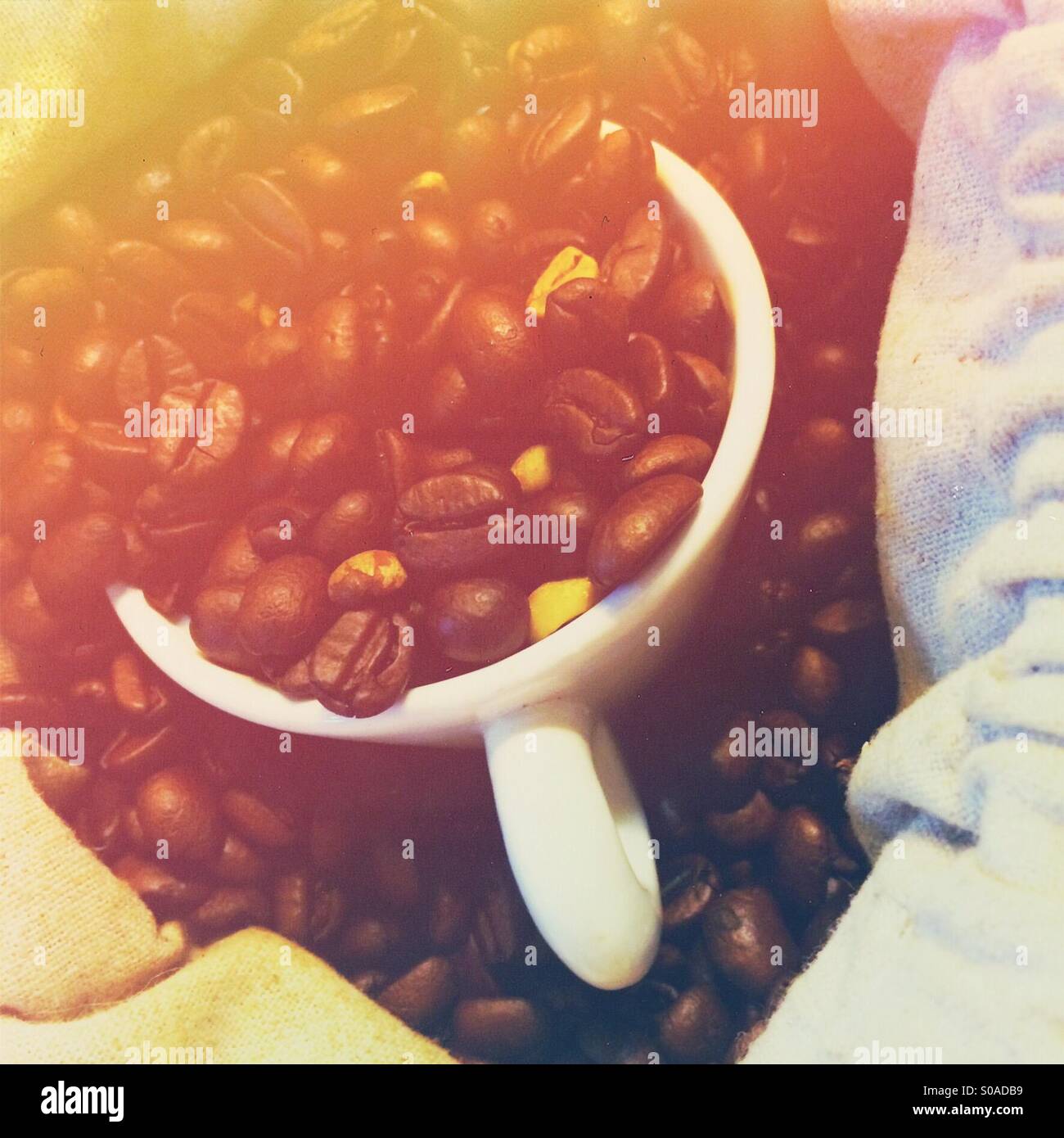 Small coffee espresso cup in a sack of raw coffee beans - Smartphone Captured Stock Image