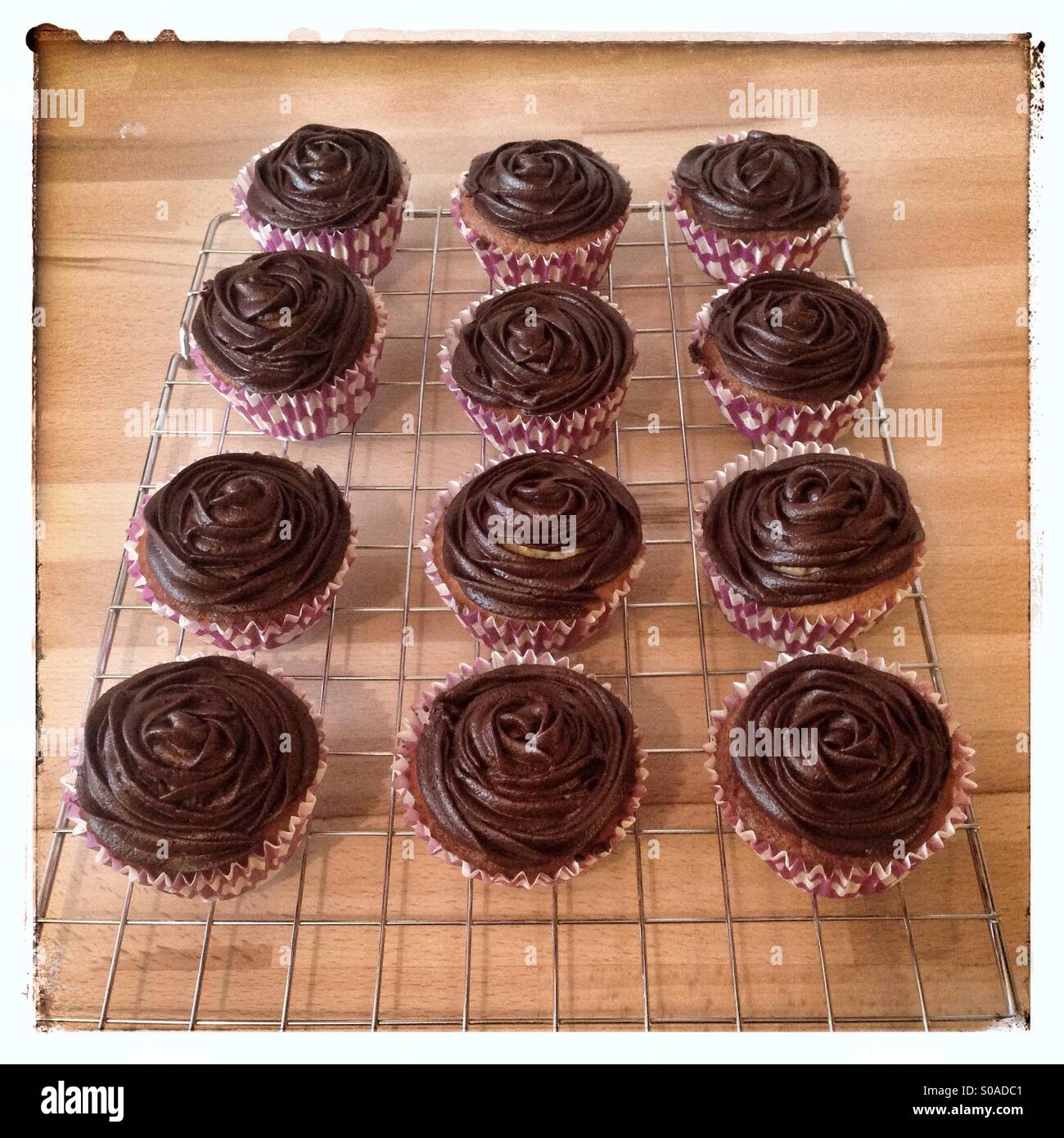 Chocolate fairy cakes on a wire cooling rack Stock Photo