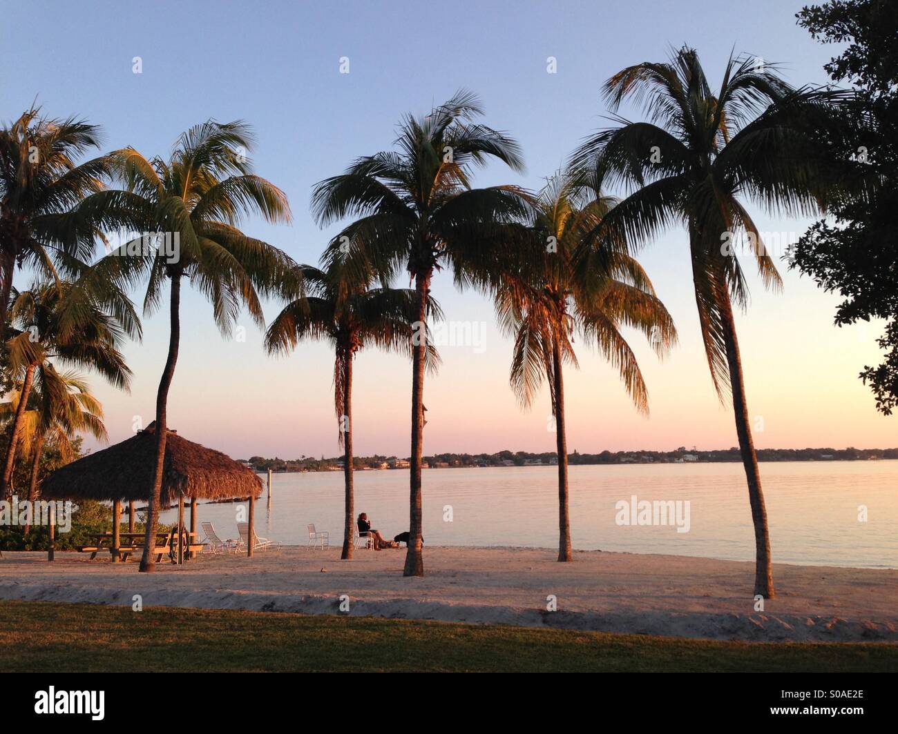 Beach And Palms Stock Photo - Alamy