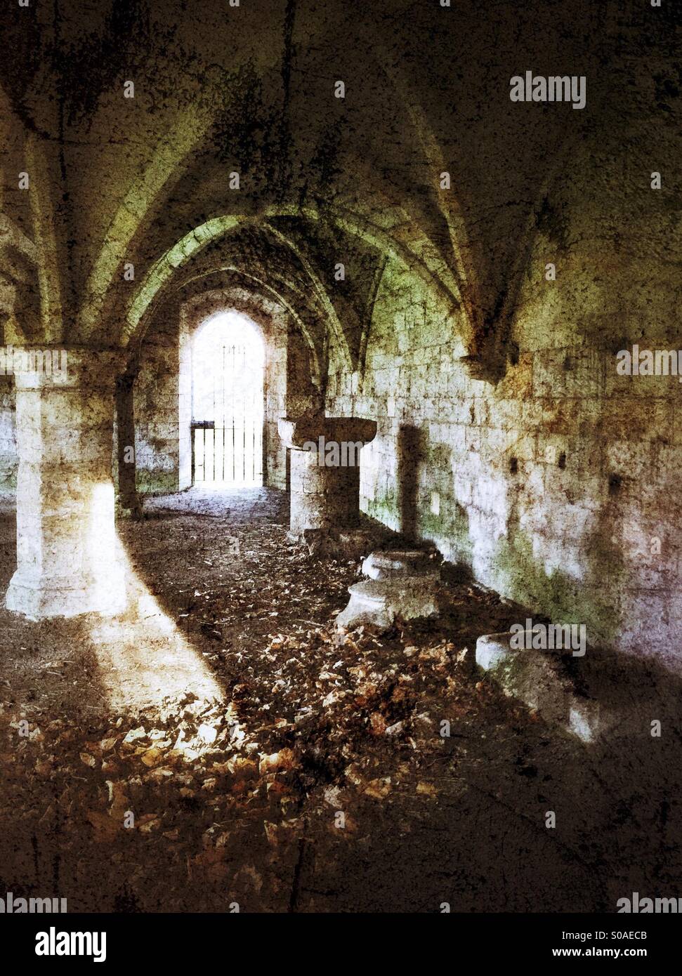 Remains of St Leonard's Hospital chapel York North Yorkshire England UK - Smartphone Captured Stock Image