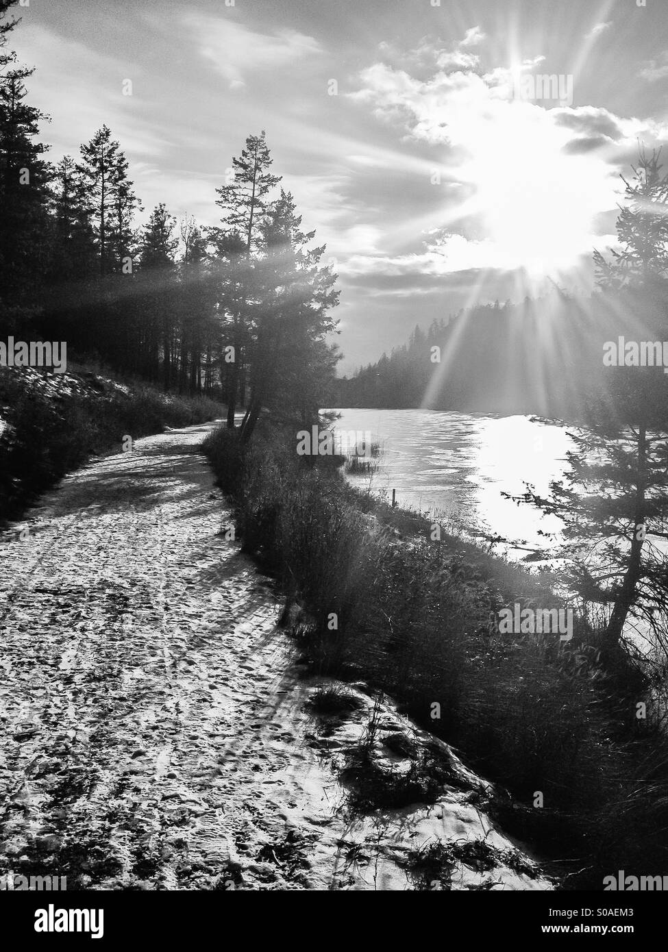 Sun rays pierce the winter landscape. A snow covered trail running along a frozen pond. - Smartphone Captured Stock Image