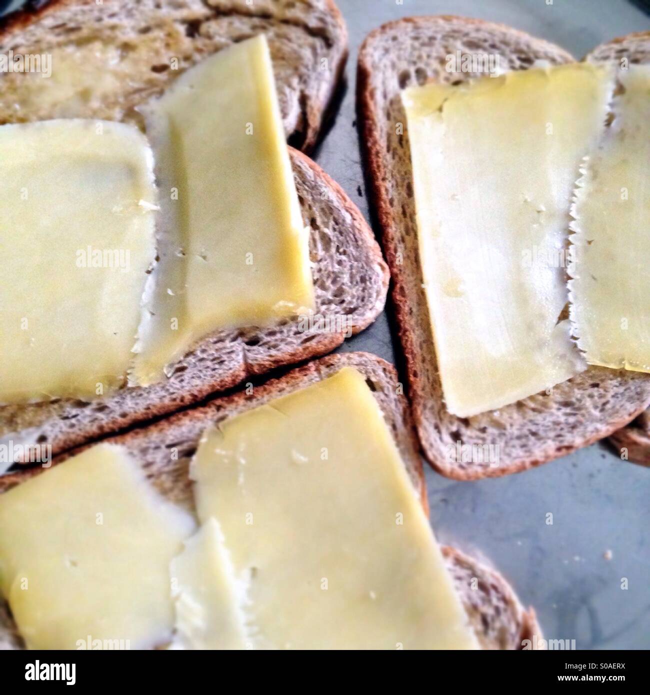 Light rye bread with butter and cheddar cheese Stock Photo Alamy