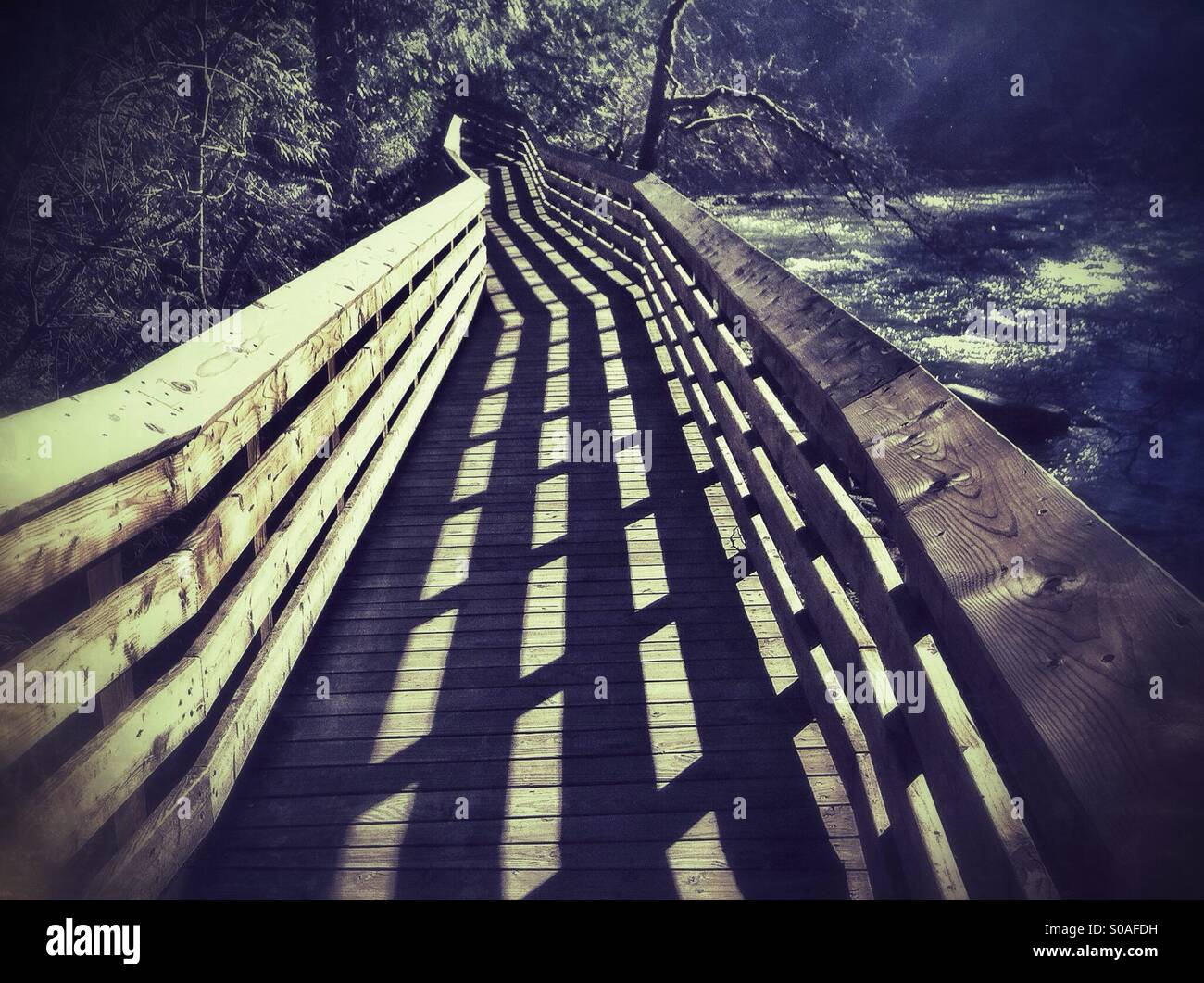 Riverside Boardwalk - Smartphone Captured Stock Image