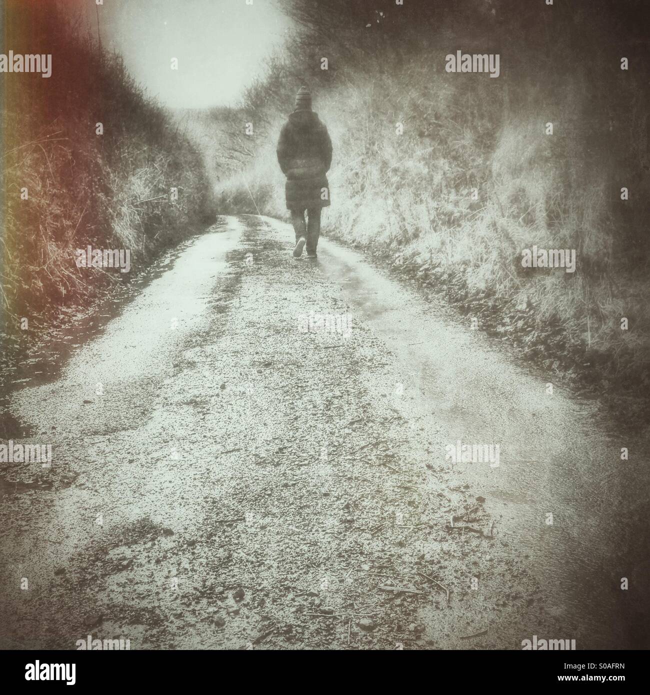 Woman walking down a lane in Devon - Smartphone Captured Stock Image